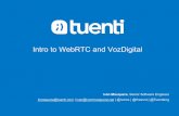 Intro to WebRTC and VozDigital