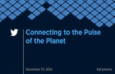 Connecting to the Pulse of the Planet with the Twitter Platform