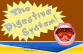 Digestive system disease