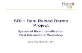 1172- SRI plus Beni Raised Berms Project