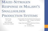 Marginal returns to fertilizer use: evidence from Malawian household surveys, Jacob Ricker-Gilbert (Purdue)
