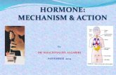 Mechanism & action hormone