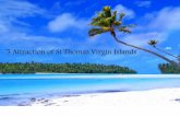 5 Attractions of St Thomas Virgin Islands