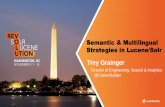 Semantic & Multilingual Strategies in Lucene/Solr: Presented by Trey Grainger, CareerBuilder