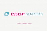 Presentation Essent Client Data Visualisation