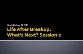 2 life after breakup what's next 2 of 3 personal recovery