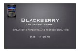 Blackberry 101 pdf