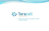 Teracell Group Criopreservacion de células madre
