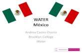 "Mexico and Water Bottles" - Andrea