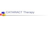 Cataract therapy