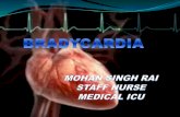 Mohan bradycardia   copy