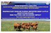 8. respiratory disease during hte adaptation phase in imported beef cattle risk factors and economic impact