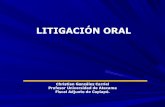 Litigación oral (teoría del caso)