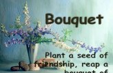 Bouquet (slideshare)