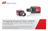 Imaging beyond the visible - An Overview of Short-Wave Infrared (SWIR) Technology for Machine Vision