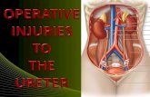 Ureteric injury ppt Dr. Neha Jain, JNMCH, AMU, Aligarh