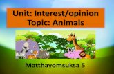 Interest/opinion  Matthayomsuksa 5
