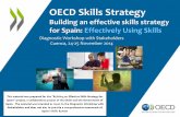 Using Skills in Spain – Workshop with Stakeholders