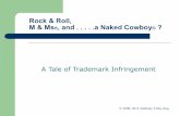 Ip primer using_naked_cowboy_case_study google version