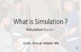 ACTEP2014: What is simulation
