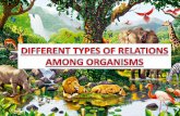 Different types of relations among organisms (1)