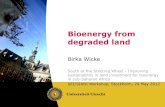 Bioenergy from degraded land
