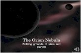 The Orion nebula LA175 OL1