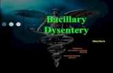 Bacillary Dysentery