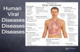 Human viral diseases