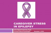 Caregiver Burnout Presentation, Epilepsy Education Exchange 2014