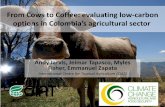 Low carbon development for Colombia