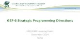 GEF-6 Strategic Programming Directions