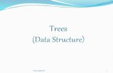 Trees (data structure)