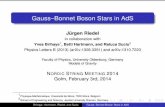 Gauss-Bonnet Boson Stars AdS and Flat Space-time, Golm, Germany, 2014-talk
