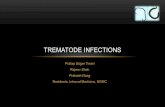 Trematode infections