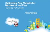 Optimizing Your Web Site for Maximum Lead Flow