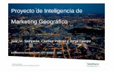 Proyecto de Inteligencia de Marketing Geografico