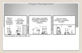 Project Management under PMI perspective