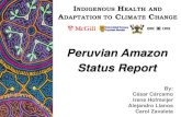 Peru Status Report