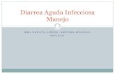 Diarrea aguda infecciosaamzl 2011