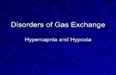 Disorders Of Gas Exchange