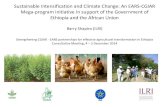 Sustainable intensification and climate change: An EARS-CGIAR Mega-program initiative in support of the Government of Ethiopia and the African Union