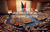 The choice of an economic system