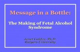 ‘Alcohol, Pregnancy and Harm Reduction: A Review of the American Experience’