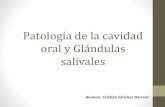 Patologia de Cav. Orañ y  Glandulas salivales