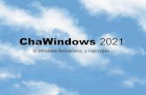 Window Chavista