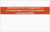 Alteraciones de la coagulación y tromboprofilaxis en el TCE