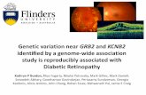 Genetic variation near GRB2 and KCNB2 identified by a genome-wide association study is reproducibly associated with Diabetic Retinopathy - Kathryn Burdon
