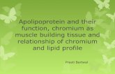 Apolipoprotein and their function, chromium as muscle building tissue and relationship of chromium and lipid profile