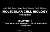 Molecular Cell Biology Lodish 6th.ppt - Chapter 11   transmembrane transport of ions and small molecules